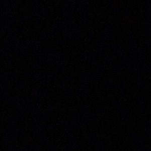 Meet your Posher, Bella